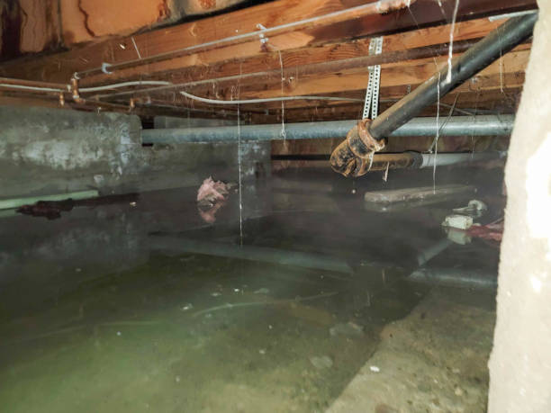 Best Emergency water extraction  in Lindsay, CA