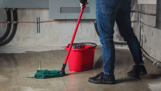 Best Water damage restoration near me  in Lindsay, CA