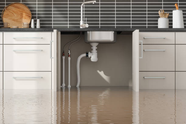 Best Flood damage cleanup  in Lindsay, CA